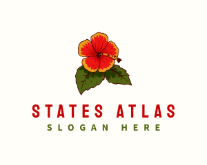 Hawaii State Flower Hibiscus logo design