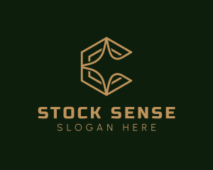 Stocks - Star Letter C Business logo design