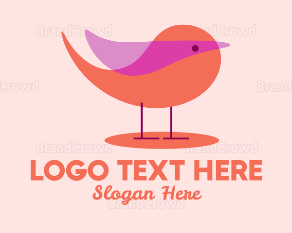 Cute Small Bird Logo