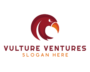 Vulture - Wild Bird Beak logo design