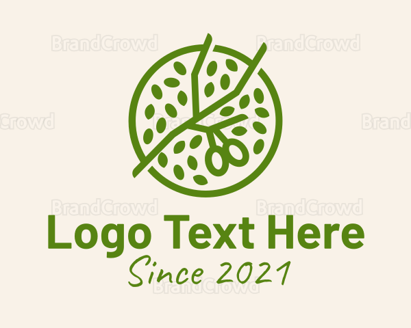 Green Botanical Oil Logo