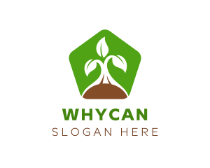 Green Organic Plant Logo