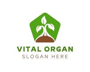 Green Organic Plant logo design