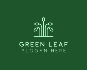 Eco Green Plant logo design