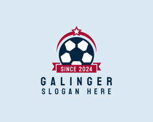 Soccer Ball Banner Logo
