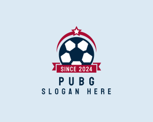 Soccer Ball Banner Logo