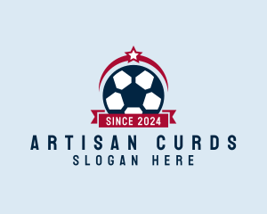 Soccer Ball Banner logo design