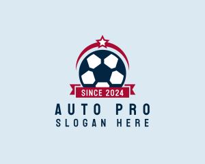 Soccer Coach - Soccer Ball Banner logo design