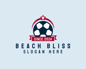 Soccer Ball Banner logo design