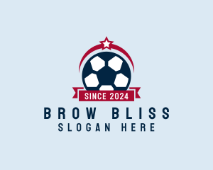 Soccer Ball Banner logo design