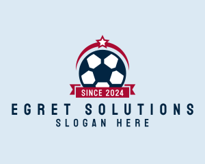 Soccer Ball Banner logo design