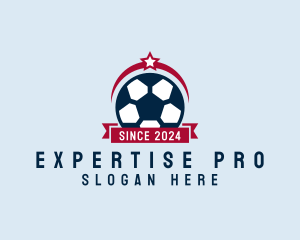 Soccer Ball Banner logo design