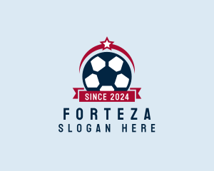 Soccer Ball Banner logo design