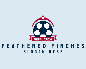 Soccer Ball Banner logo design