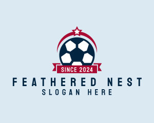 Soccer Ball Banner logo design