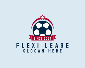 Soccer Ball Banner logo design