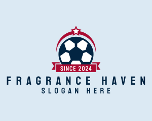 Soccer Ball Banner logo design