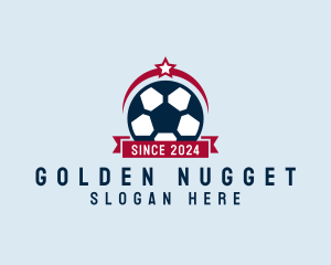 Soccer Ball Banner logo design