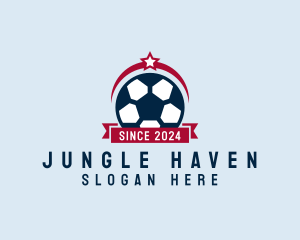 Soccer Ball Banner logo design