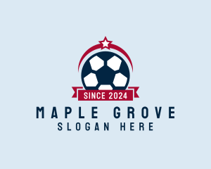 Soccer Ball Banner logo design