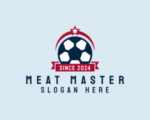 Soccer Ball Banner logo design