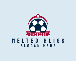 Soccer Ball Banner logo design