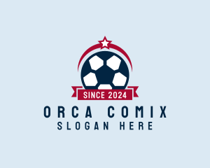 Sport - Soccer Ball Banner logo design