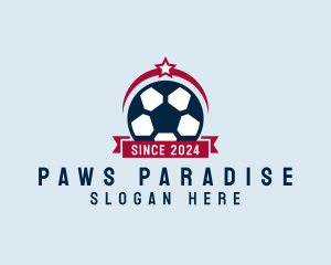 Soccer Ball Banner logo design