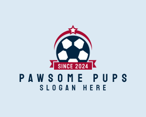 Soccer Ball Banner logo design