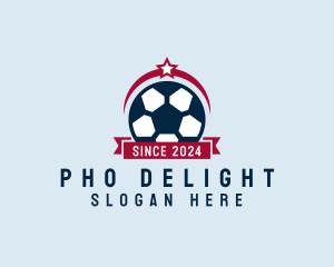 Soccer Ball Banner logo design