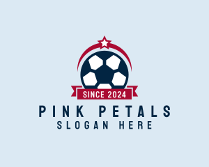 Soccer Ball Banner logo design