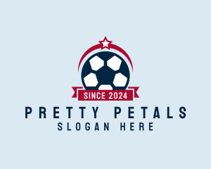 Soccer Ball Banner logo design