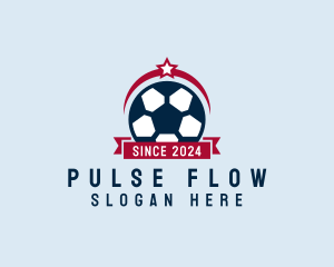 Soccer Ball Banner logo design