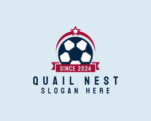 Soccer Ball Banner logo design