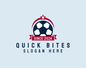 Soccer Ball Banner logo design