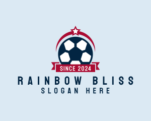 Soccer Ball Banner logo design