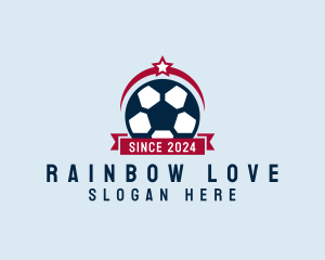 Soccer Ball Banner logo design