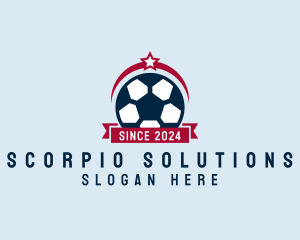 Soccer Ball Banner logo design