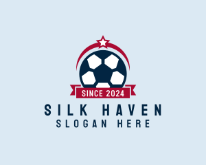 Soccer Ball Banner logo design