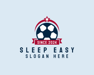 Soccer Ball Banner logo design