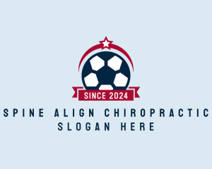 Soccer Ball Banner logo design