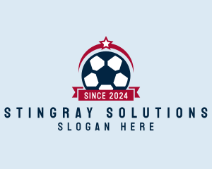 Soccer Ball Banner logo design