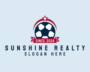 Soccer Ball Banner logo design