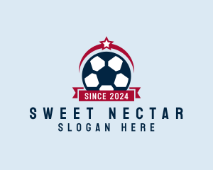 Soccer Ball Banner logo design