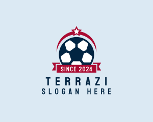 Soccer Ball Banner logo design