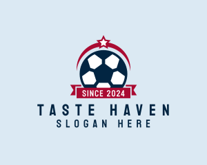 Soccer Ball Banner logo design