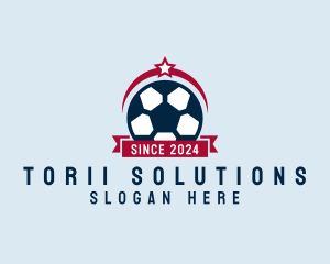 Soccer Ball Banner logo design