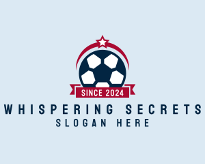 Soccer Ball Banner logo design