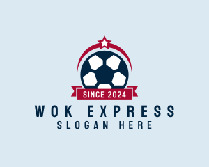 Soccer Ball Banner logo design