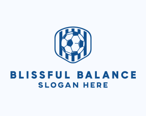 Blue Soccer Ball logo design